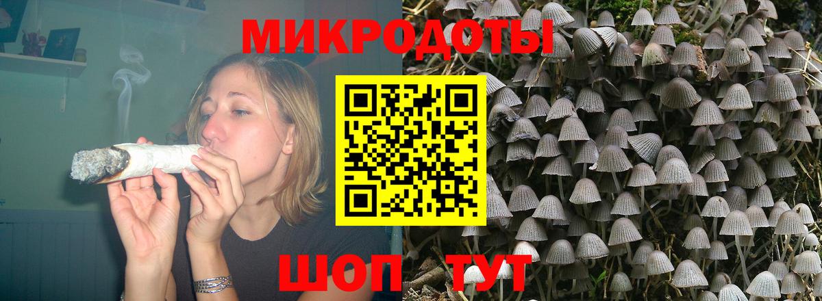 Псилоцибиновые грибы Cubensis Муравленко